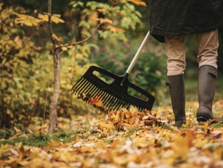 Sprzątamy liście z trawnika – jesienne porządki z Fiskars