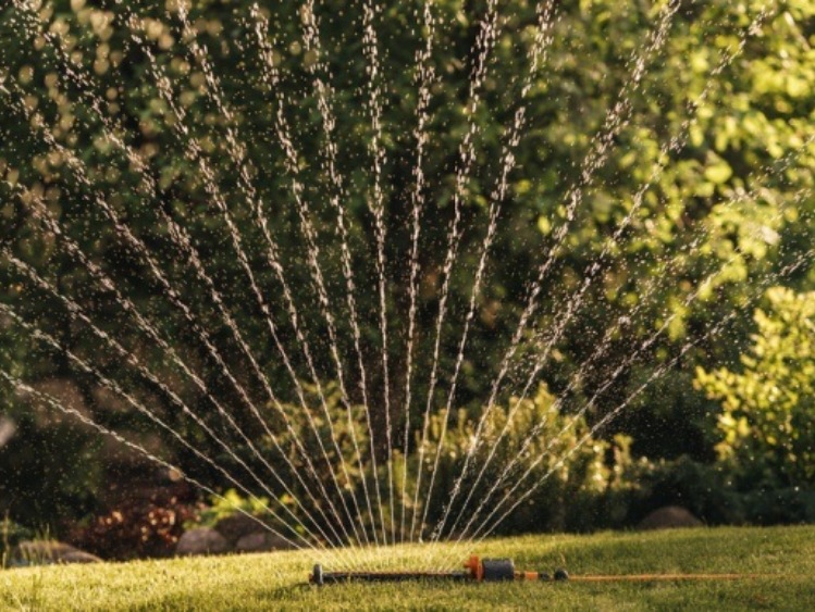 Jak oszczędzać wodę w ogrodzie