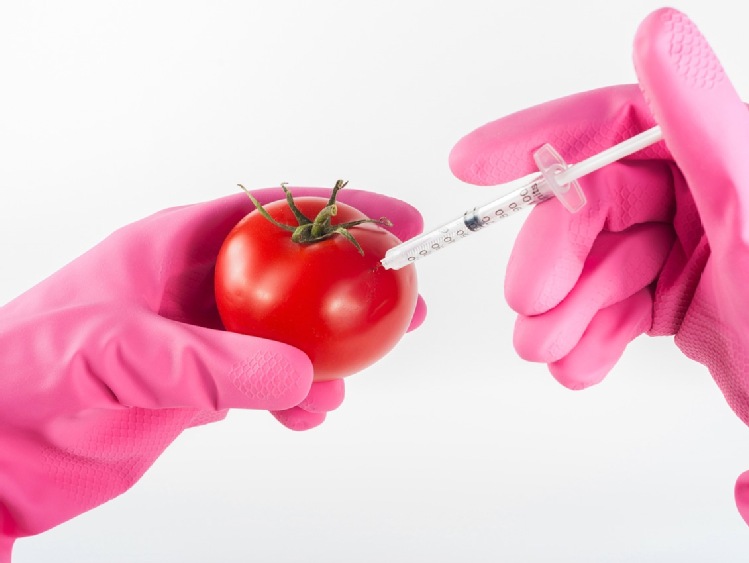 Nowe GMO (NGT) - negocjacje w UE to składniki wybuchowego koktajlu