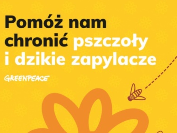 Dla pszczół - akcja Fundacji Greenpeace w Galerii Bronowice