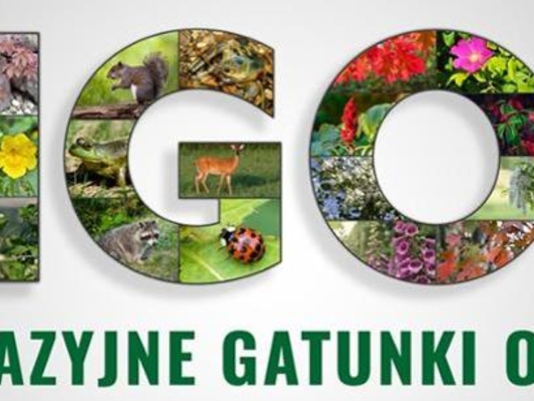 Inwazyjne Gatunki Obce (IGO)