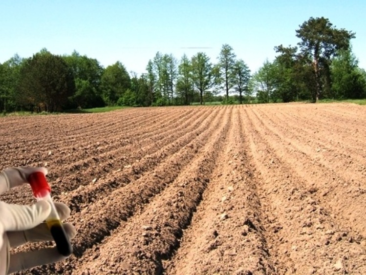 Pieniądze na wdrażanie innowacji w sektorze rolnym