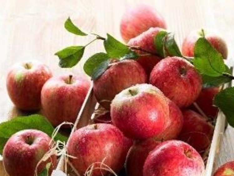 Polski program promocji jabłek wybrany przez KE