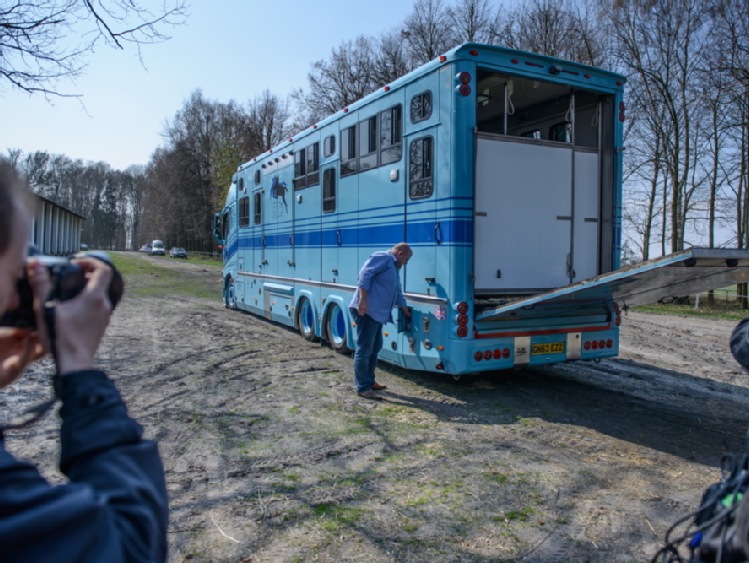 Shirley Watts zabrała swoje konie ze stadniny w Janowie