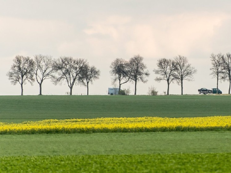 Podlaskie: 63 mln zł z UE na scalanie gruntów