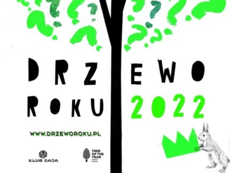 Finaliści konkursu Drzewo Roku 2022 w Polsce