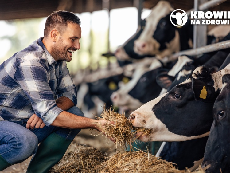 Gospodarka pastwiskowa – tradycja czy innowacja w żywieniu krów mlecznych?