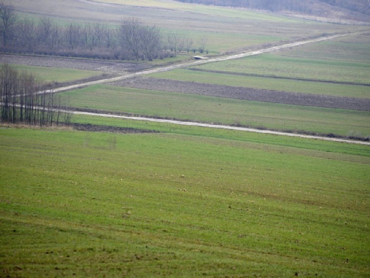 Podkarpackie/ Ponad 152 mln zł na scalenie gruntów rolnych
