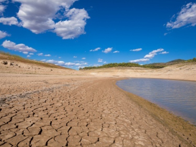 Bluecloud Interactive z autorskim projektem dla Koalicji Klimatycznej