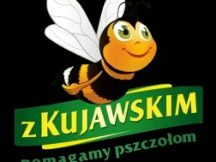 Program „Z Kujawskim Pomagamy Pszczołom” po raz kolejny w Raporcie „Odpowiedzialny biznes w Polsce 2019. Dobre praktyki”