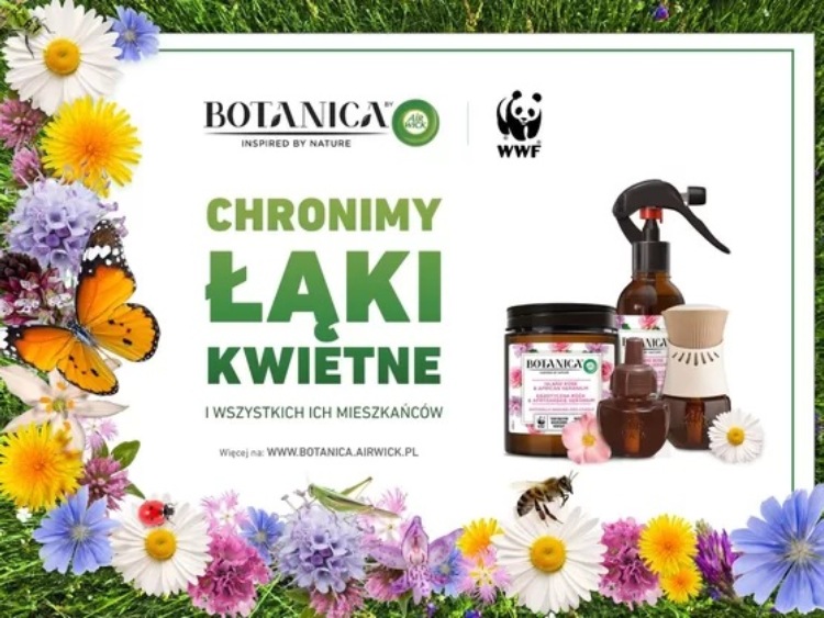 Razem chronimy łąki kwietne – współpraca WWF i Botanica by Air Wick