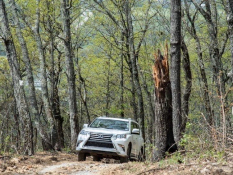 Lexus zbudował plac zabaw dla fanów off-roadu. I pięknych widoków