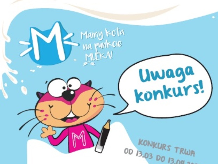 Wystartował pierwszy koci konkurs!
