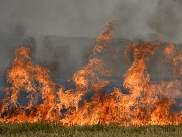 Podkarpackie/ 120 pożarów spowodowanych wypalaniem suchych traw