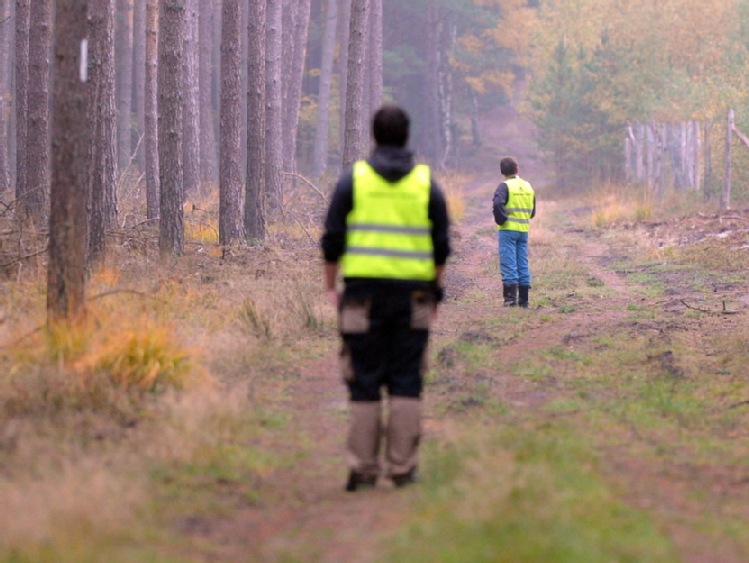 Szef Lasów Państwowych: gospodarka w LP opiera się na zasadzie solidaryzmu