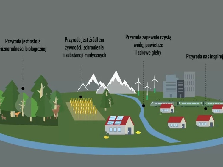 Ciągnie człowieka do lasu. Natura, a pandemia koronawirusa