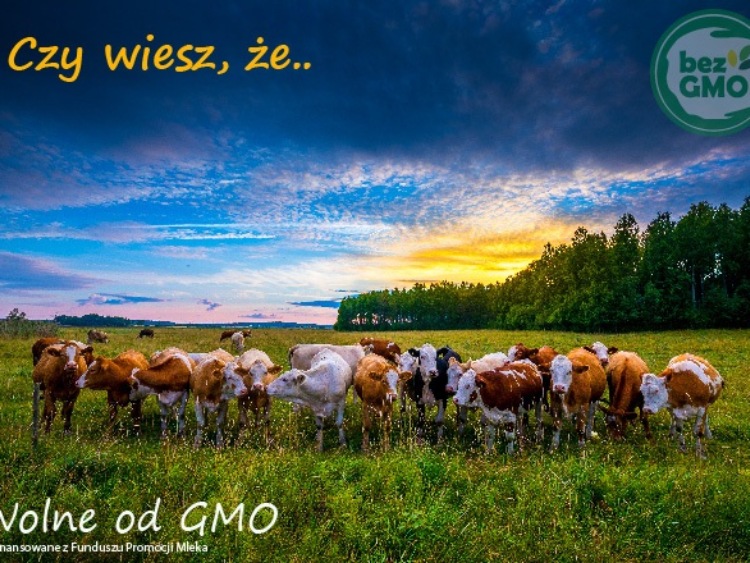 Produkty bez GMO zyskują coraz większą popularność