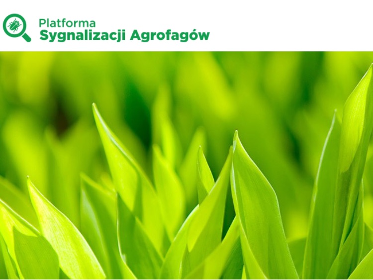Platforma Sygnalizacji Agrofagów – wsparcie dla doradców i rolników