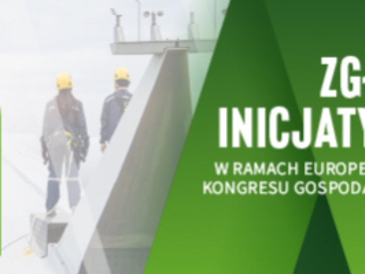 Ranking Zielonych Inicjatyw- zgłoszenia do 17 lutego