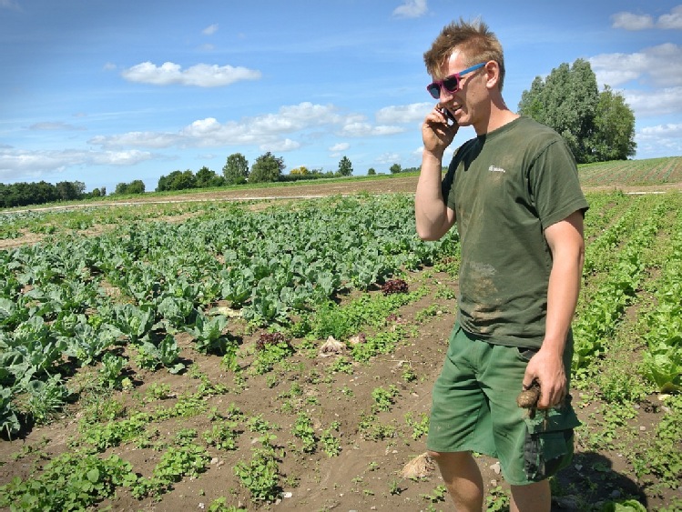 Zakwaszenie gleb olbrzymią barierą we wzroście plonów