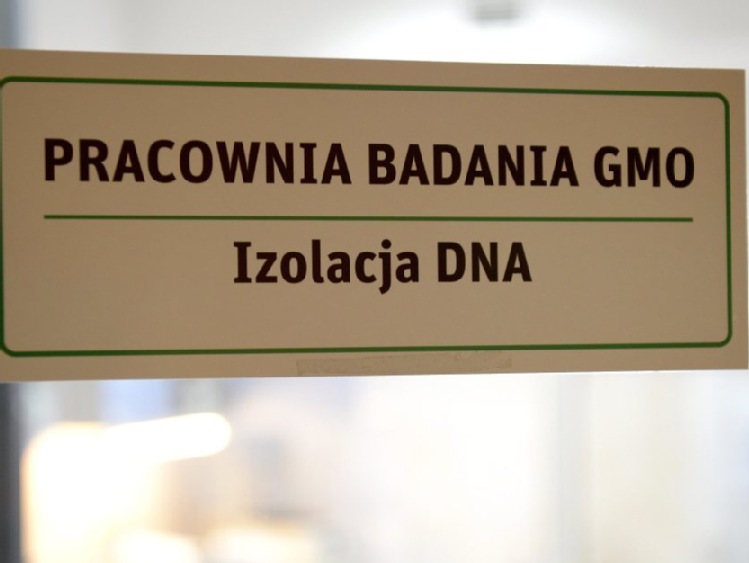 GMO w paszach będzie można stosować kolejne cztery lata - do 2021 r.