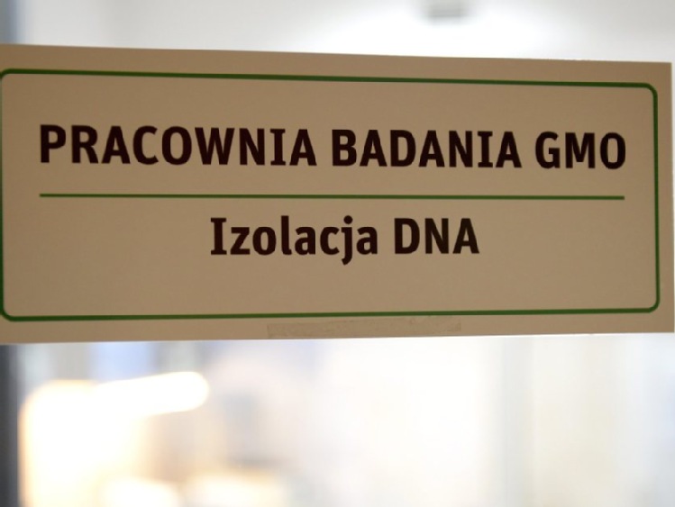 Ardanowski: stosowanie soi GMO w paszach może być przedłużone najwyżej o dwa lata