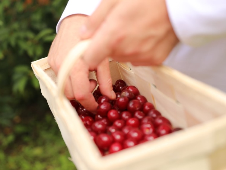 Samozbiory – sposób na skracanie łańcucha sprzedaży