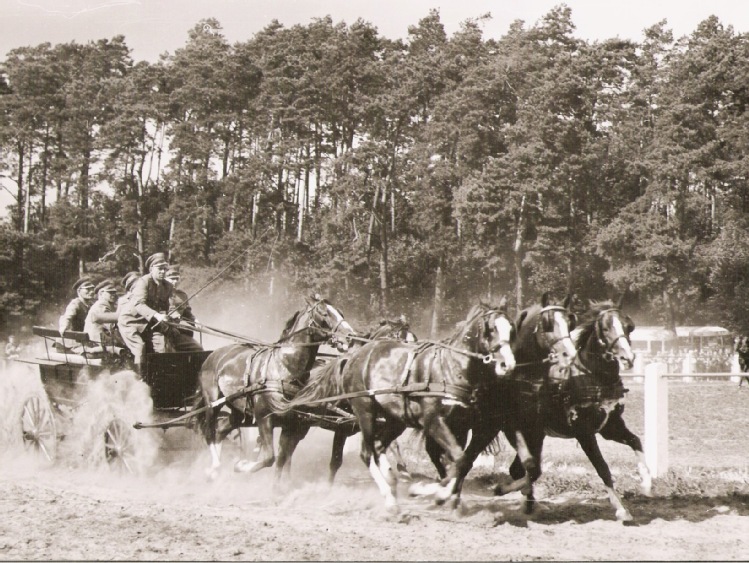 100 lat Stada Ogierów w Łącku