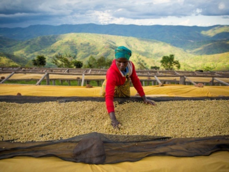 #Stronglikecoffee, czyli Starbucks opowiada o sile kobiet