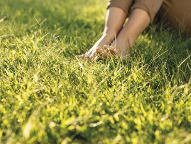 Siła witalna trawnika z jesiennego „chowu”.  Praktyczne porady o jesiennym zakładaniu trawnika.