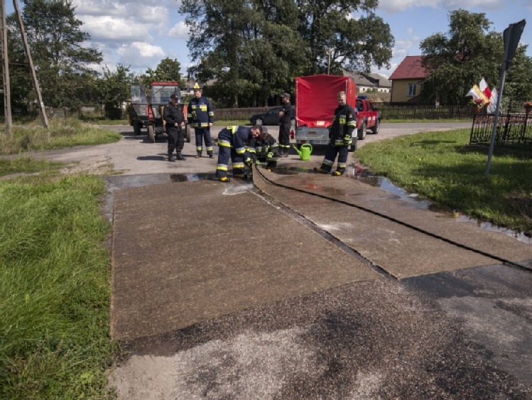 Mazowieckie: wykryto 16. w kraju ognisko ASF u świń