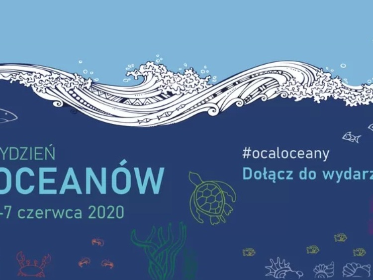 Tydzień Oceanów z Fundacją WWF