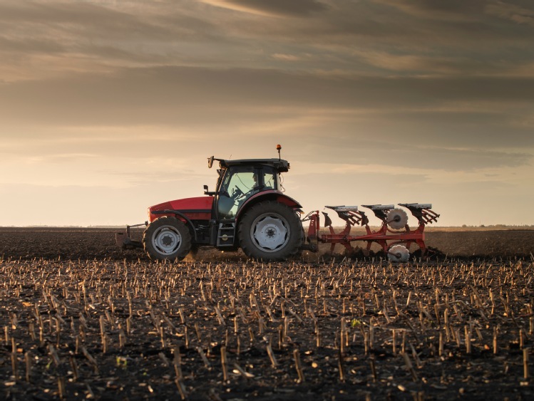 Charakterystyka ciągników rolniczych Case IH Maxxum dostępnych na rynku wtórnym