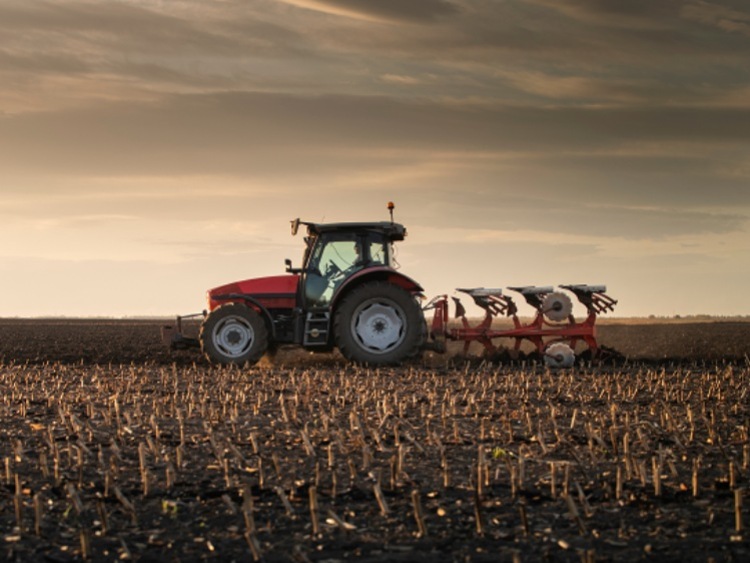 Charakterystyka ciągników rolniczych Case IH Maxxum z rynku wtórnego