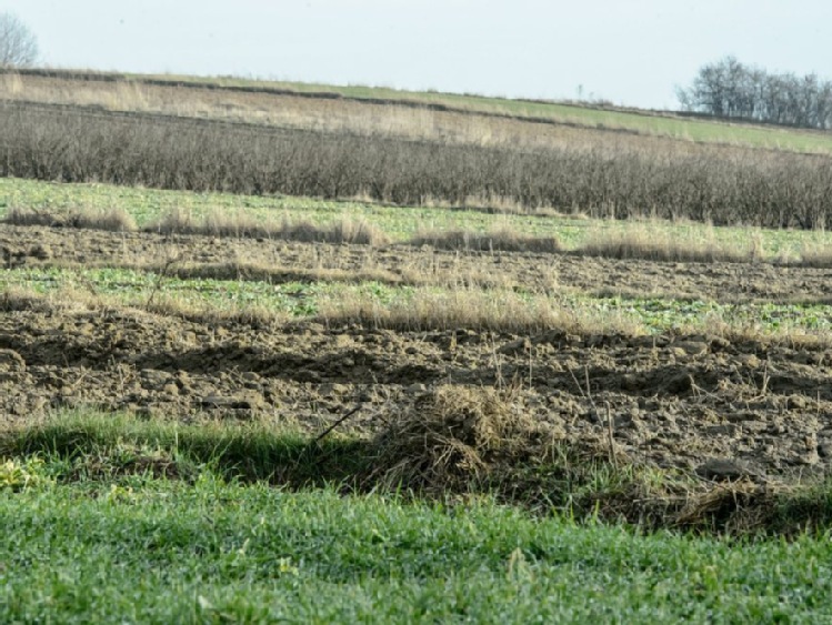 Rząd zajmie się projektem regulującym obrót ziemią