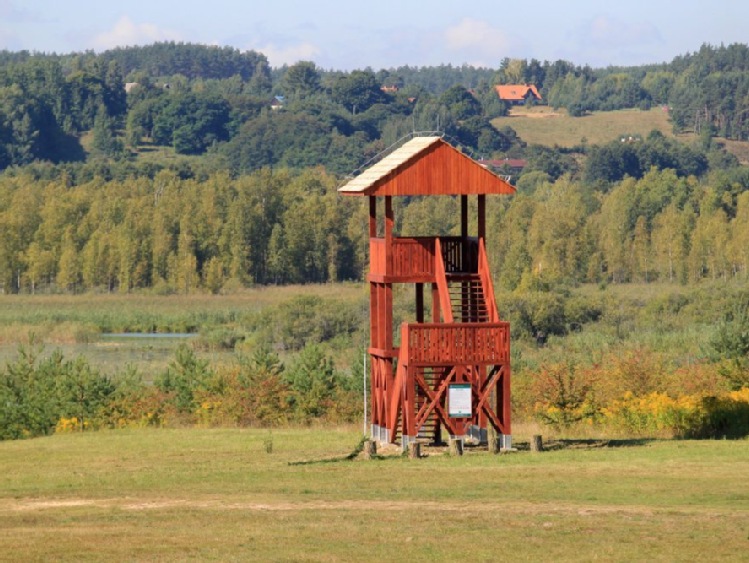 Rząd: po 1 maja Lasy Państwowe będą miały prawo pierwokupu prywatnych lasów