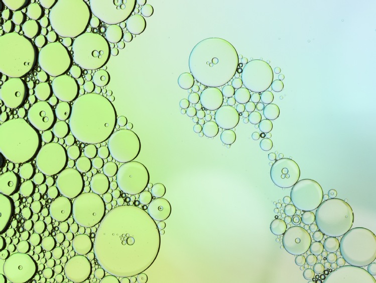 Rolnictwo nowej generacji &ndash; jak łączyć efektywność z troską o środowisko