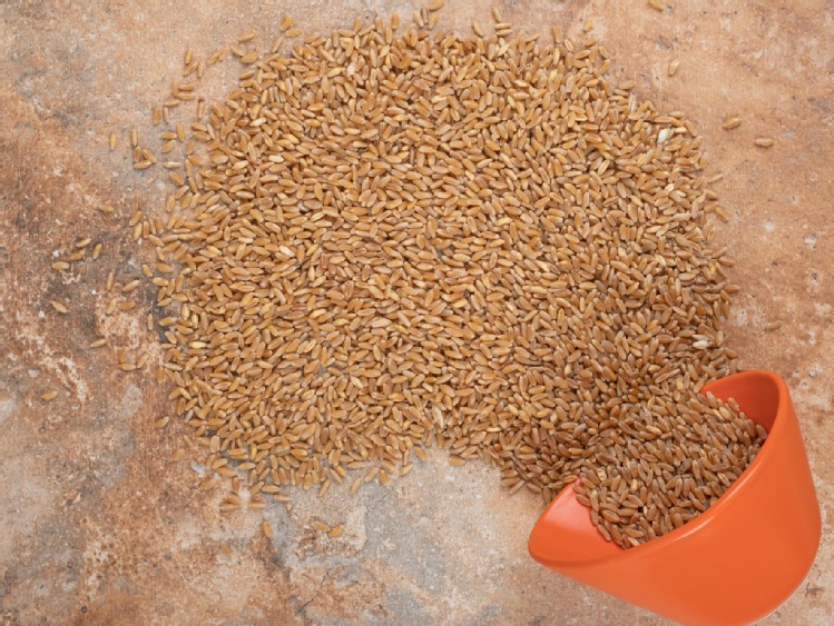 Jak przebiega fumigacja zboża?