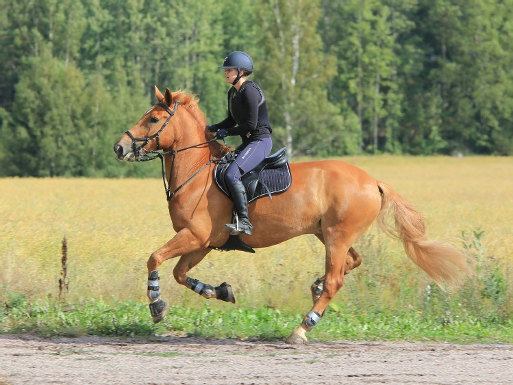 Hacele – kompletny przewodnik