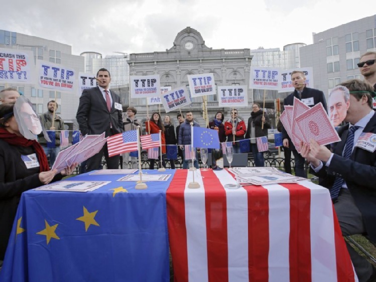 Według organizacji rolniczych TTIP to szansa dla sektora rolnego