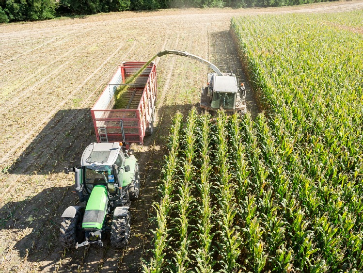 Podsumowanie sezonu uprawy kukurydzy na kiszonkę