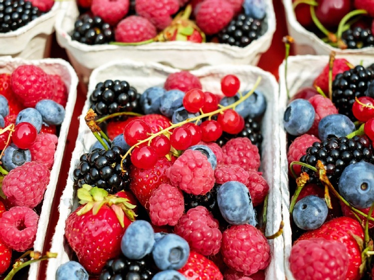 Rolnictwo ekologiczne: nowe propozycje KE z istotnymi lukami