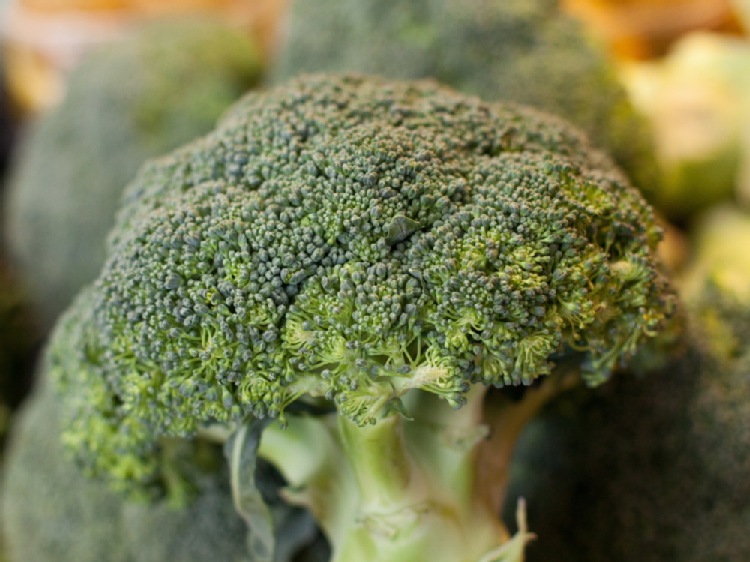 Brokuły, kurkuma czy zielona herbata - prewencyjnie przeciw nowotworom