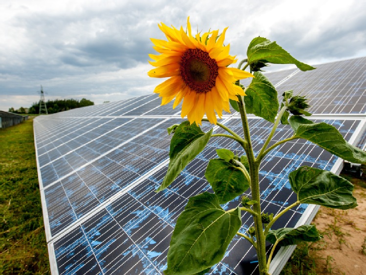 Energa zbuduje kolejną farmę fotowoltaiczną