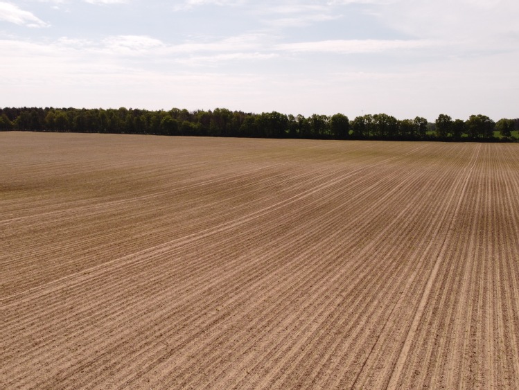 Realne korzyści zastosowania rolnictwa precyzyjnego CLAAS i 365 FarmNet
