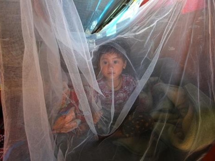 UNICEF: Już ponad 4000 przypadków mikrocefalii wśród dzieci w Brazylii. Wirus Zika zagrożeniem dla noworodków.