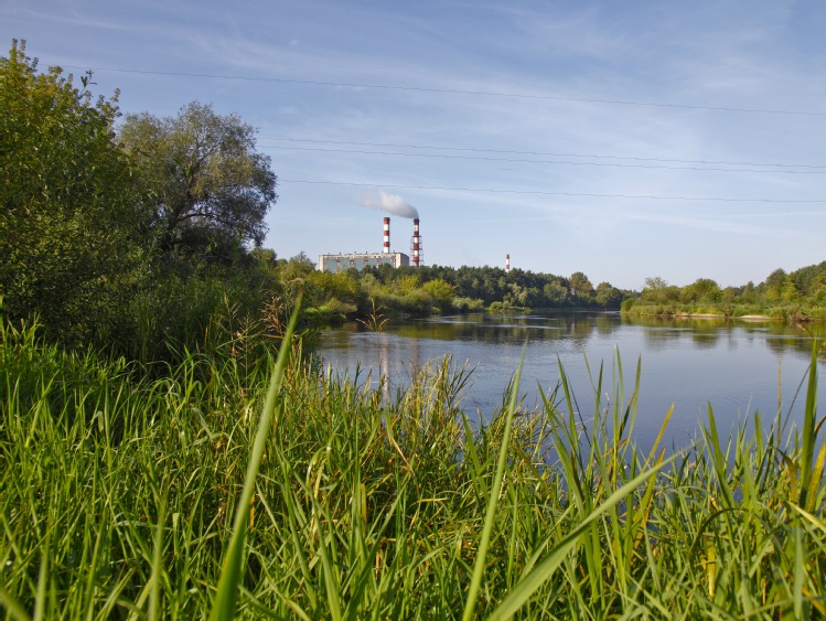 Energa w ekologicznej akcji w Ostrołęce
