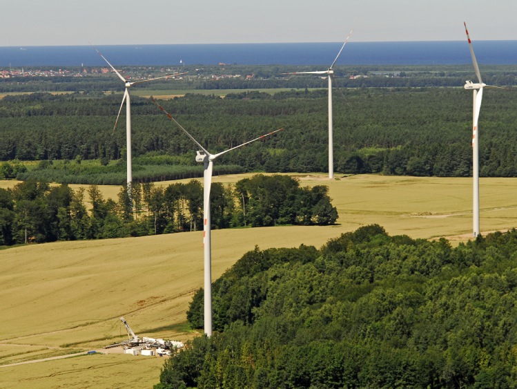 Zielona energia dla klientów TAURONA