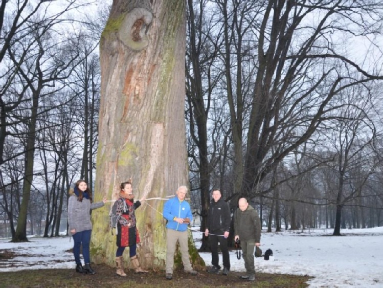 Tree Hunter spotka się z Heleną