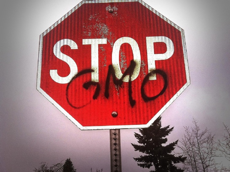 Niemiecki minister nie poprze NGT. A co zrobi Polski minister???